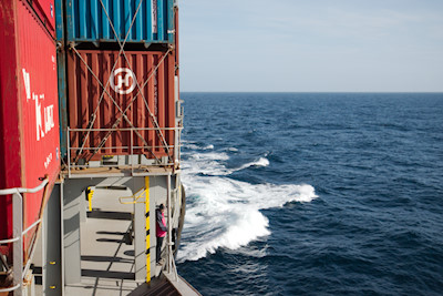 Manchmal "landen" fliegende Fische auf Deck die von der Crew gerne roh gegessen werden,